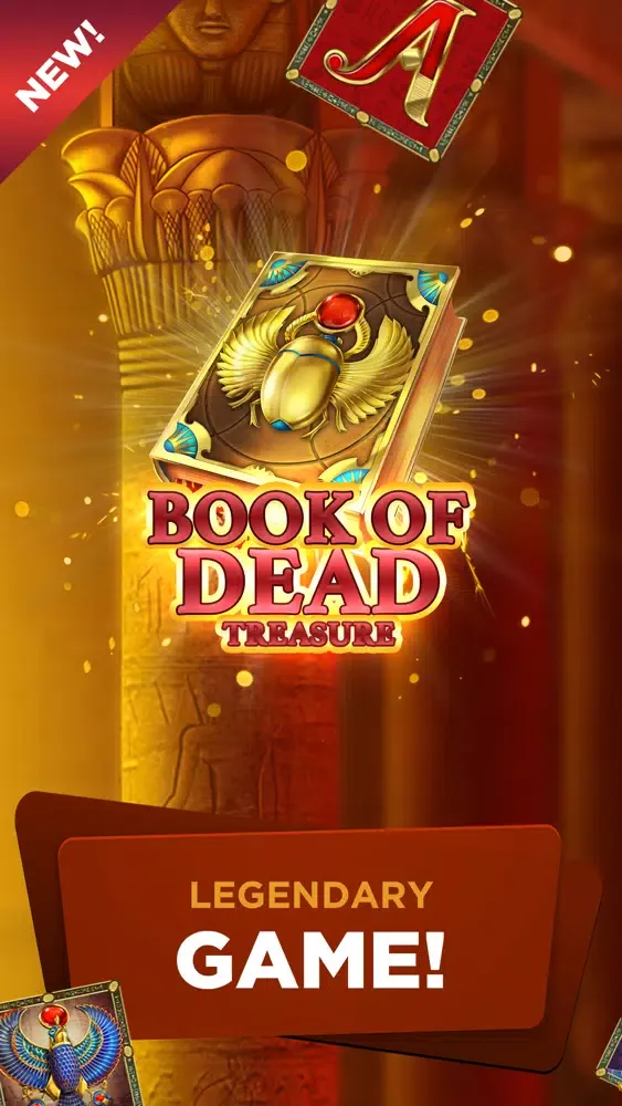صور Book of Dead Treasure