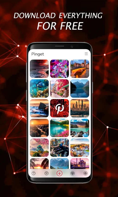 Pinterest Video Downloader-screenshot-1