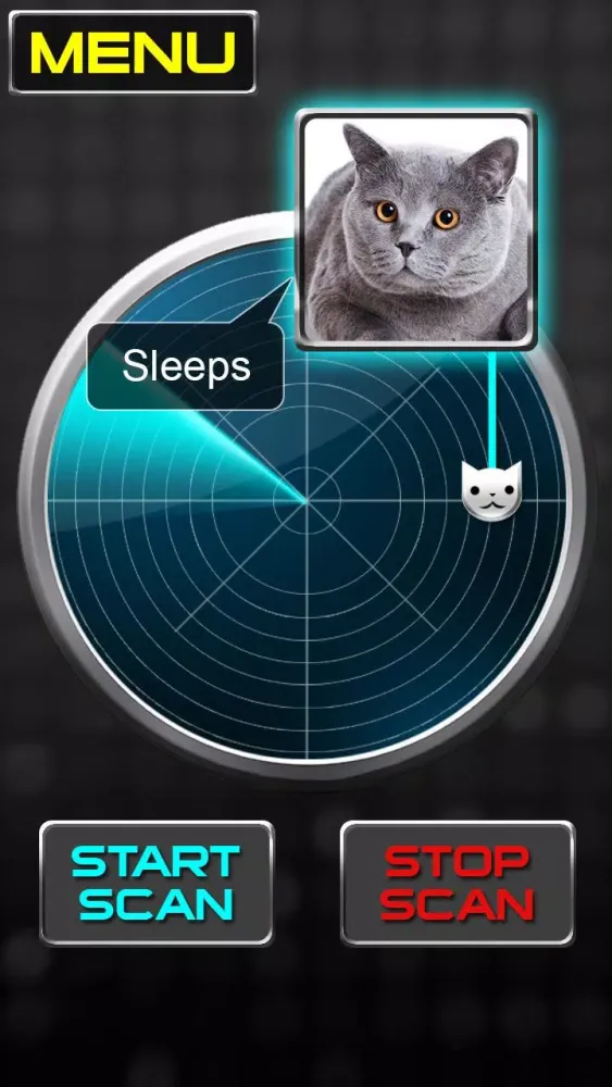 Tangkapan skrin Radar What Makes Cat Joke