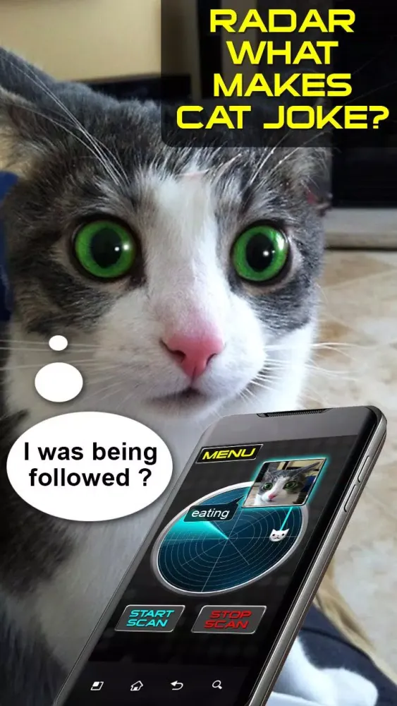 Tangkapan skrin Radar What Makes Cat Joke