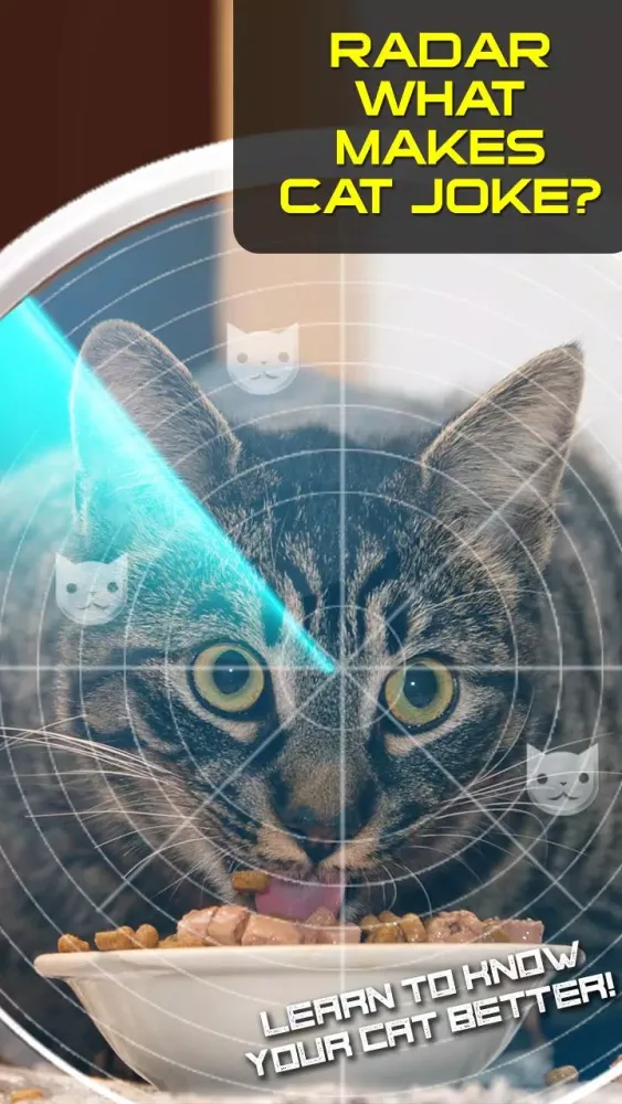 Tangkapan skrin Radar What Makes Cat Joke