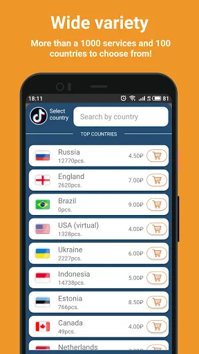 SMS-Activate receive sms應用截圖