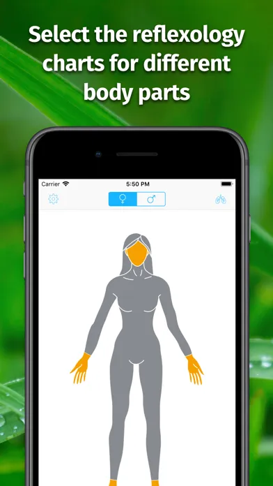 Massage Maps • Reflexology Screenshots