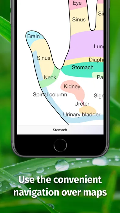 Massage Maps • Reflexology Screenshots