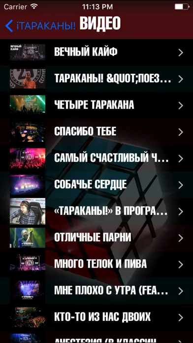 Скриншоты iТараканы!