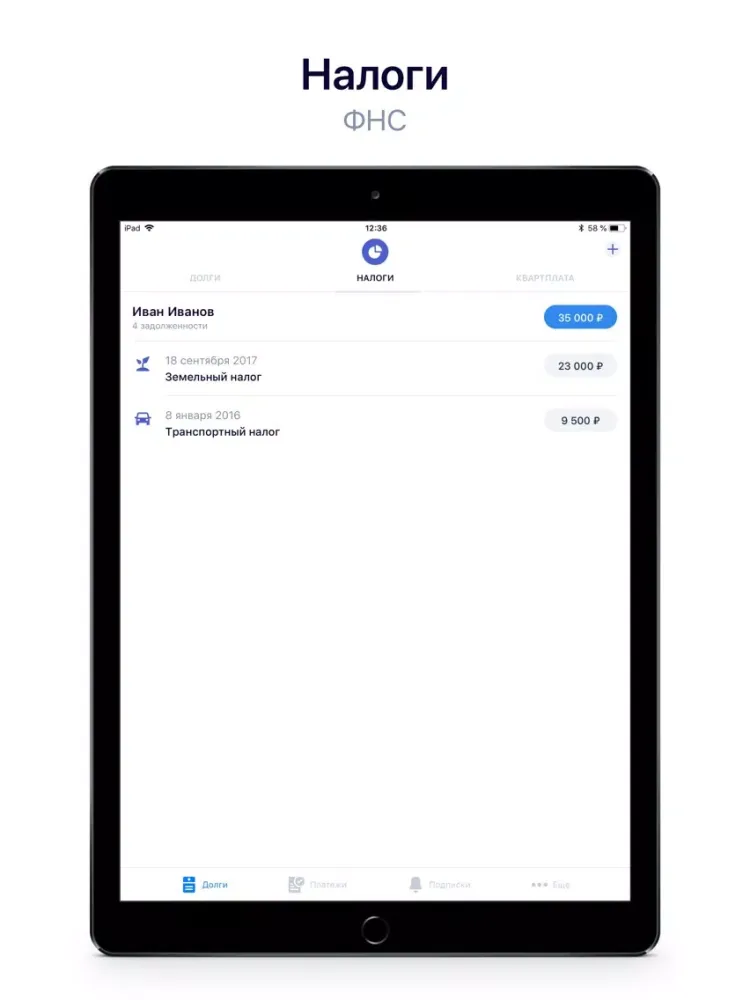 Госдолги iPad  스크린샷