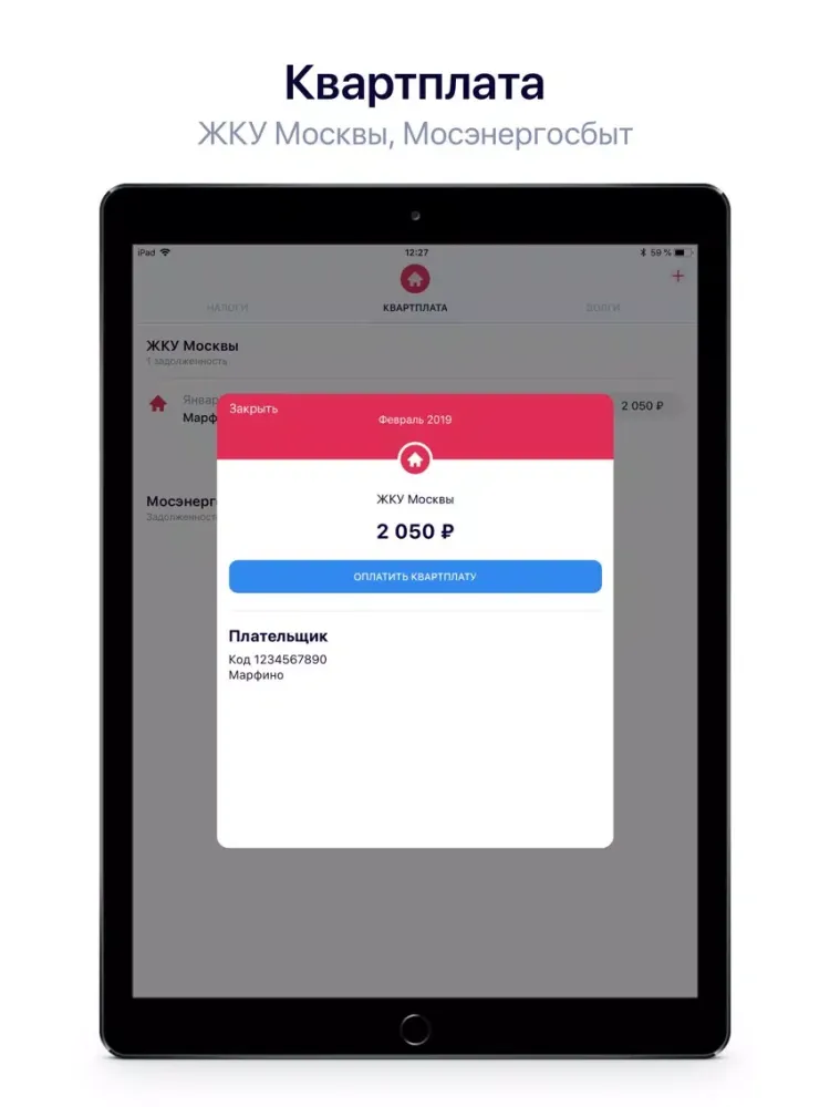 Госдолги iPad  스크린샷