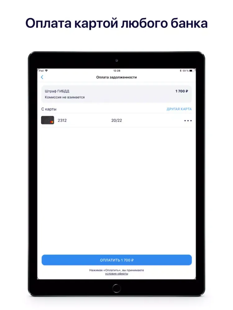 Госдолги iPad  스크린샷