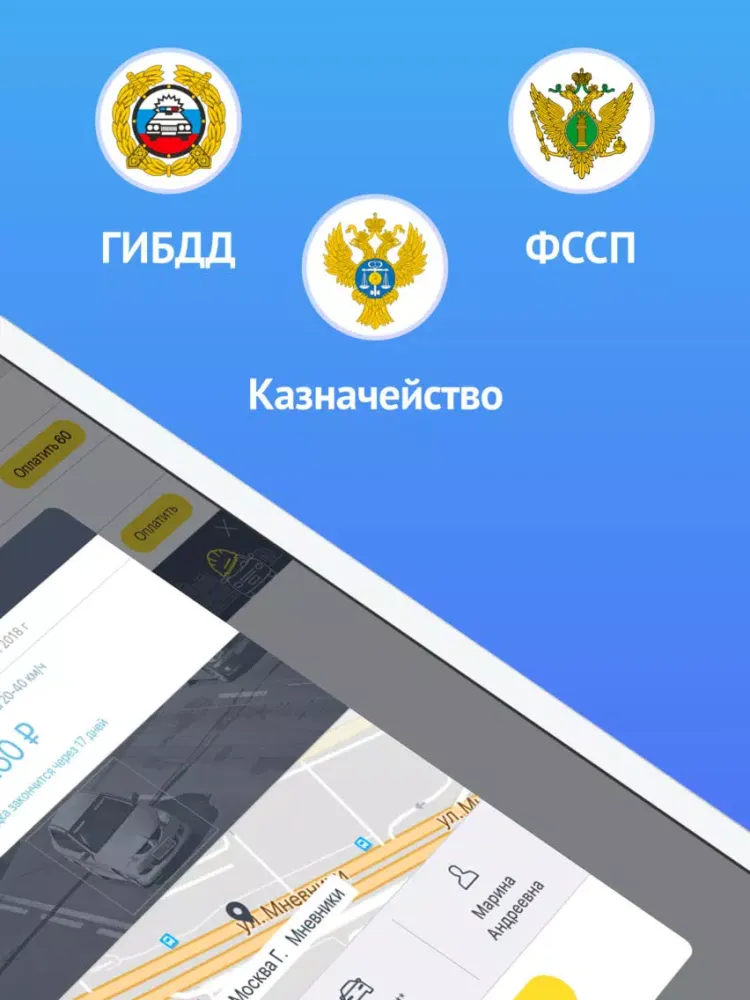 Штрафы ГИБДД официальные iPad  스크린샷