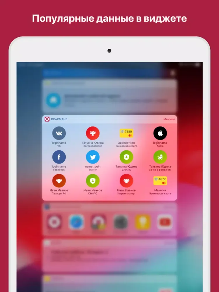 Ảnh chụp màn hình của ВКармане: хранение документов iPad 