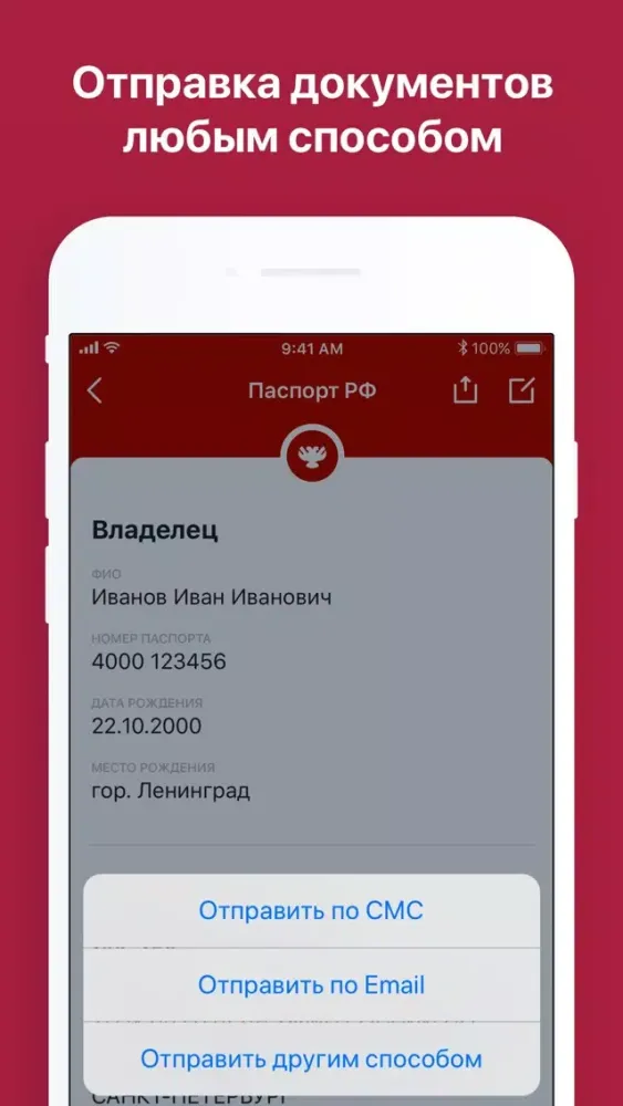 Ảnh chụp màn hình của ВКармане: хранение документов