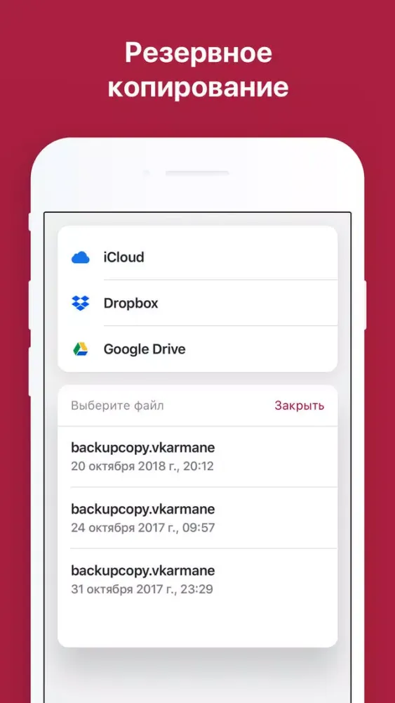 Ảnh chụp màn hình của ВКармане: хранение документов