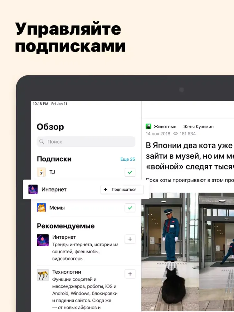 Ảnh chụp màn hình của TJournal — новости интернета iPad 