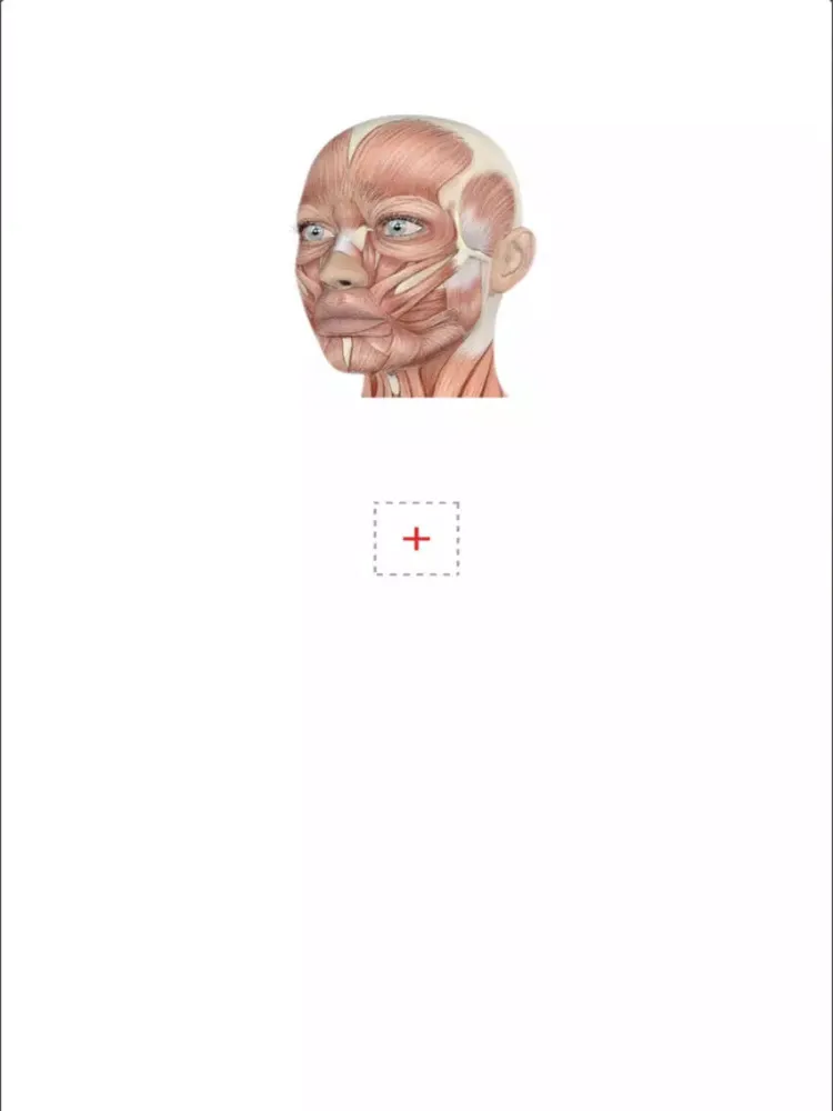 Анатомия AR iPad 应用截图