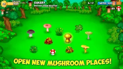 Forest Clans Ekran Görüntüleri