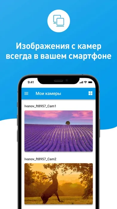 Вист он-Лайн (Volgaspot)应用截图