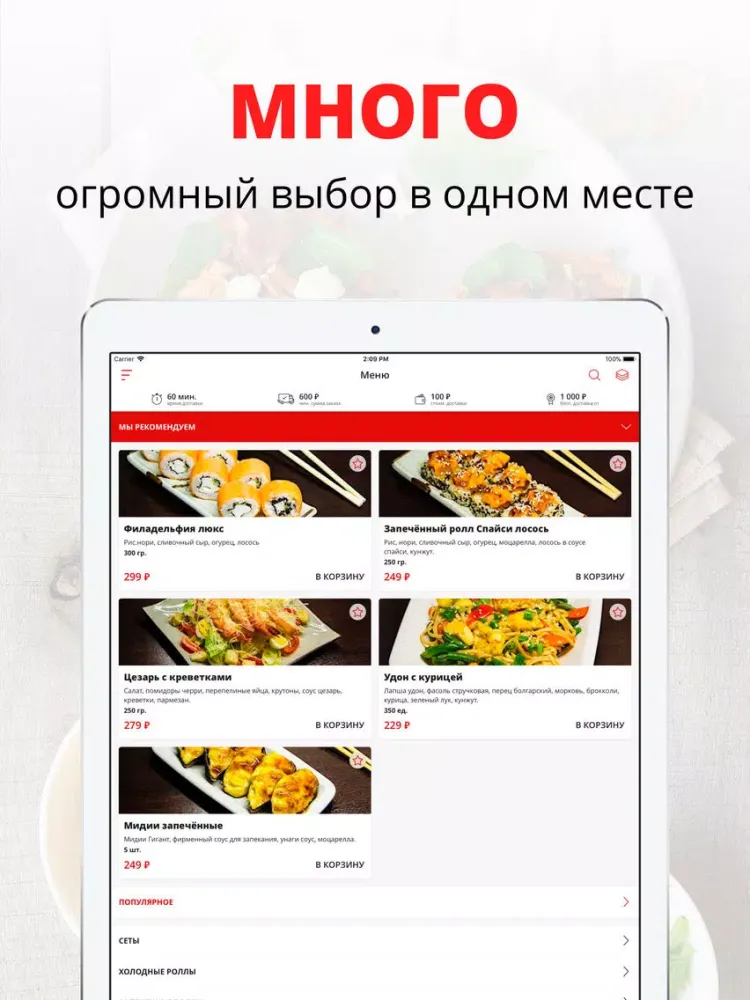 SushiCo | Магнитогорск iPad 应用截图