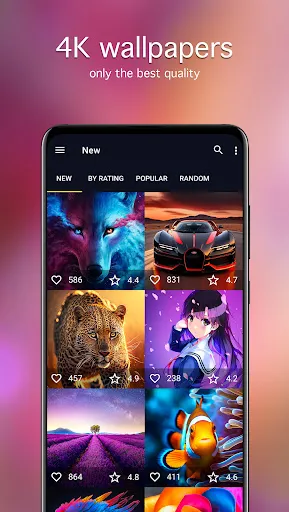 7Fon: Wallpapers & Backgrounds Screenshots