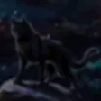 Wild Cats Online