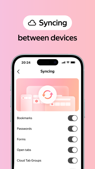 Yandex Browser应用截图