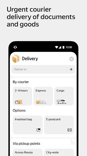 Yandex Go — taxi and delivery Screenshots