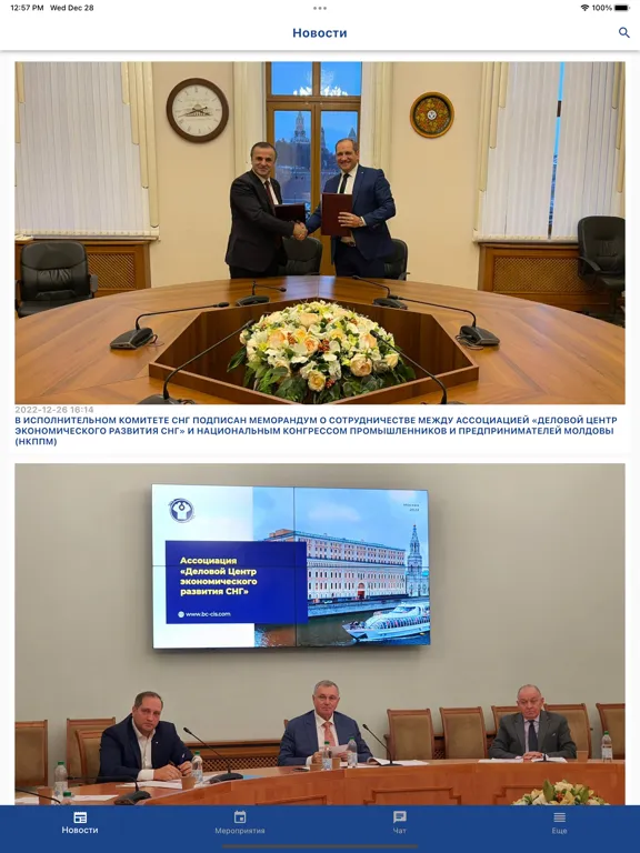 Бизнес СНГ iPad 应用截图