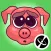 Pig - Cute stickers