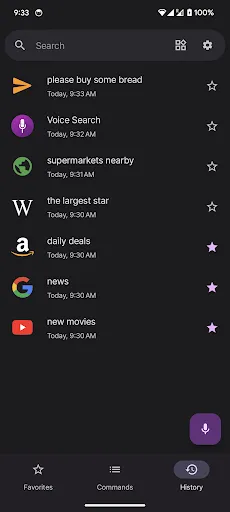 Voice Search Screenshots