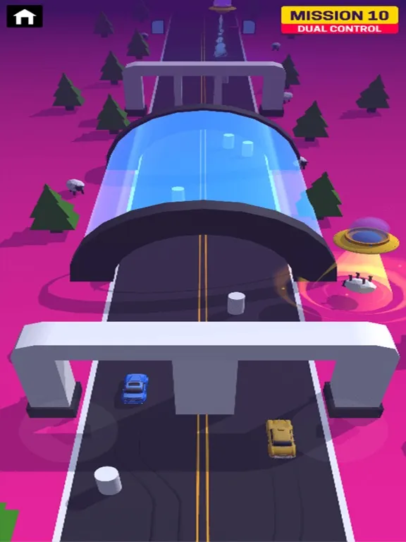 Rush Dual Car Control iPad 应用截图