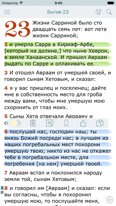 Capturas de pantalla de Аудио Библия Синодальный Перевод. Bible in Russian
