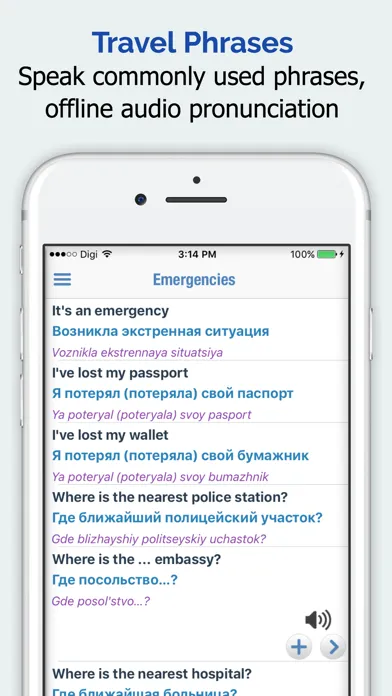 Screenshot di Russian Dictionary +