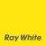 Ray White Platinum Group