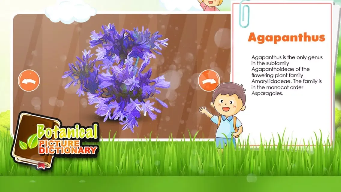 Zrzuty ekranu Botany Picture Dictionary