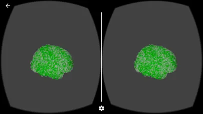 صور Interactive Brain Activation for fMRI Data
