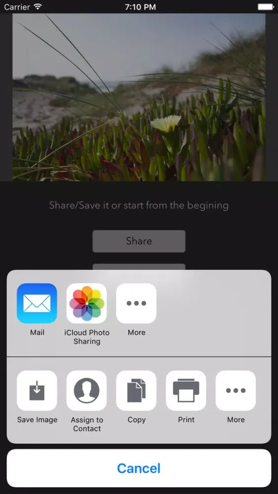 Swap Mouth Screenshots
