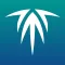 Advisor 2 - FI