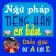 Ngữ pháp tiếng Hàn cơ bản