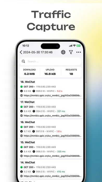 Network Sniffer Screenshots