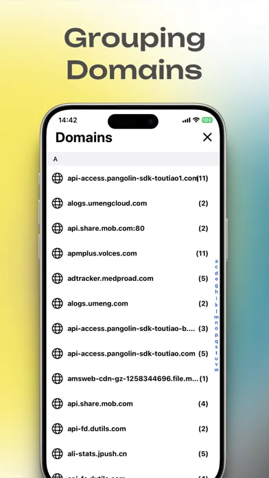 Network Sniffer Screenshots