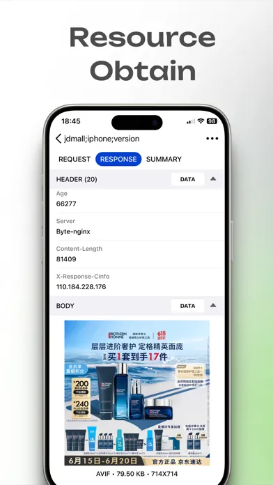 Network Sniffer Screenshots