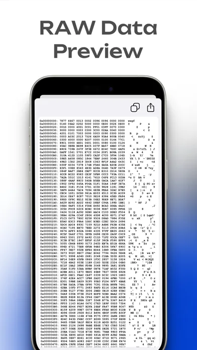 Network Sniffer Screenshots