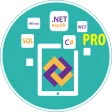 Learn .Net Framework Pro