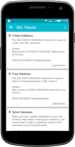 Captures d'écran de Learn .Net Framework Pro