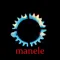 Fierți pe manele