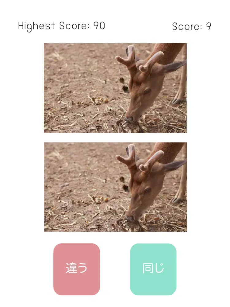 Tangkapan skrin 同じか？違うか？ iPad 