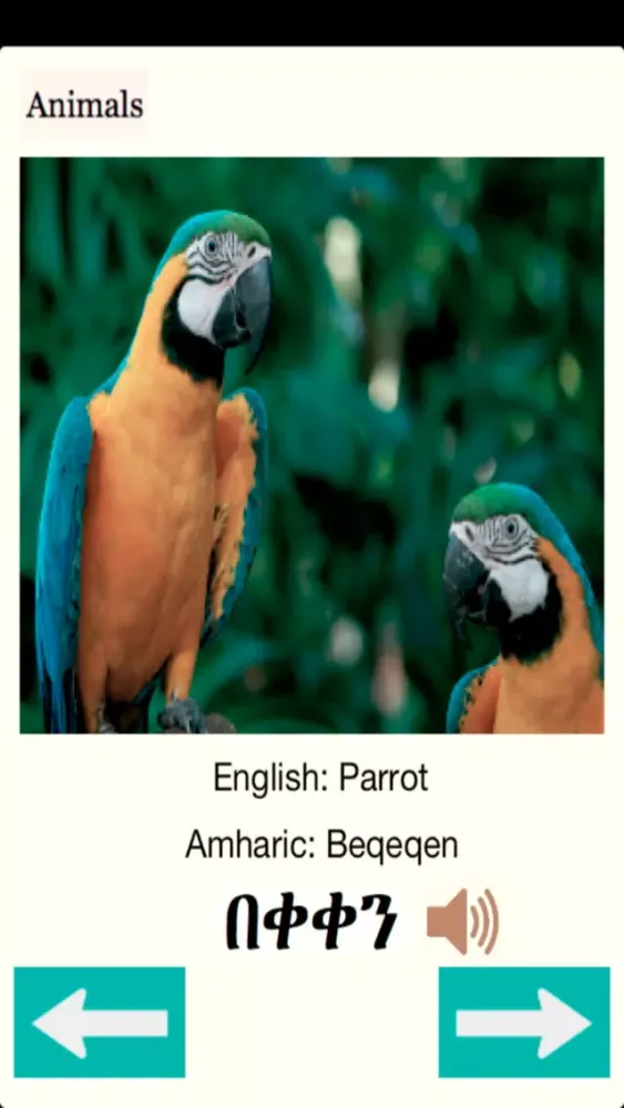 ภาพหน้าจอของ Animals Names in Amharic