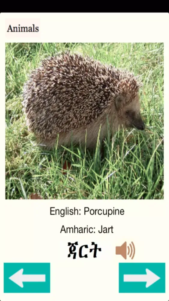 ภาพหน้าจอของ Animals Names in Amharic