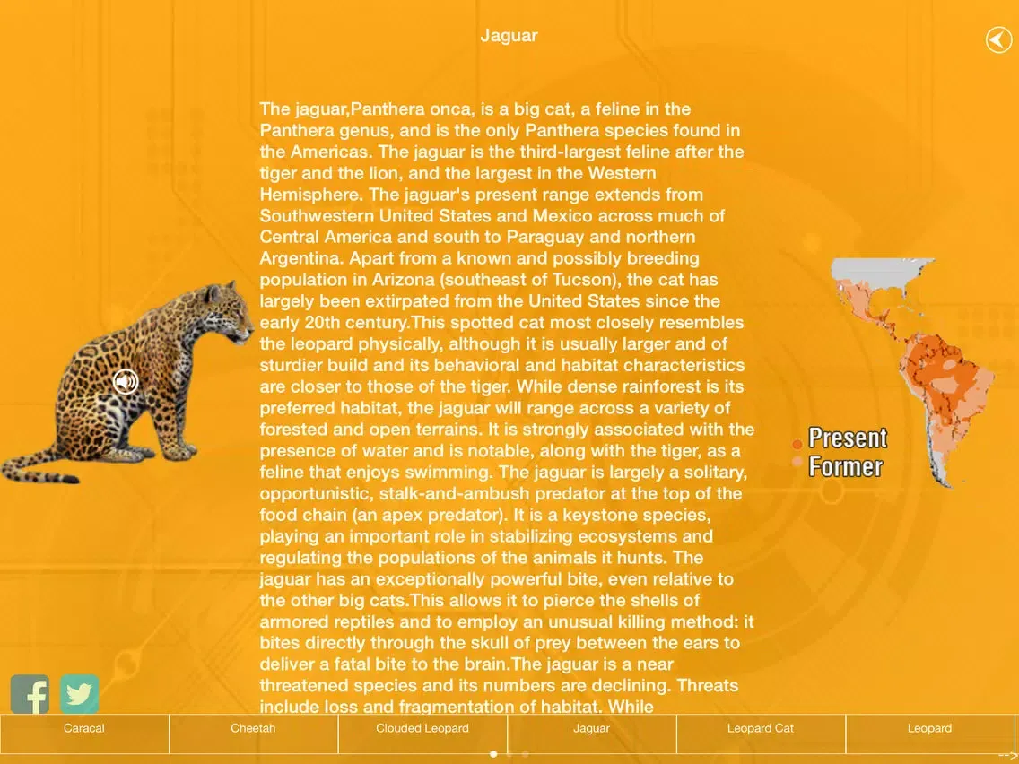 تصاویر Wild Cats Orchestra iPad 