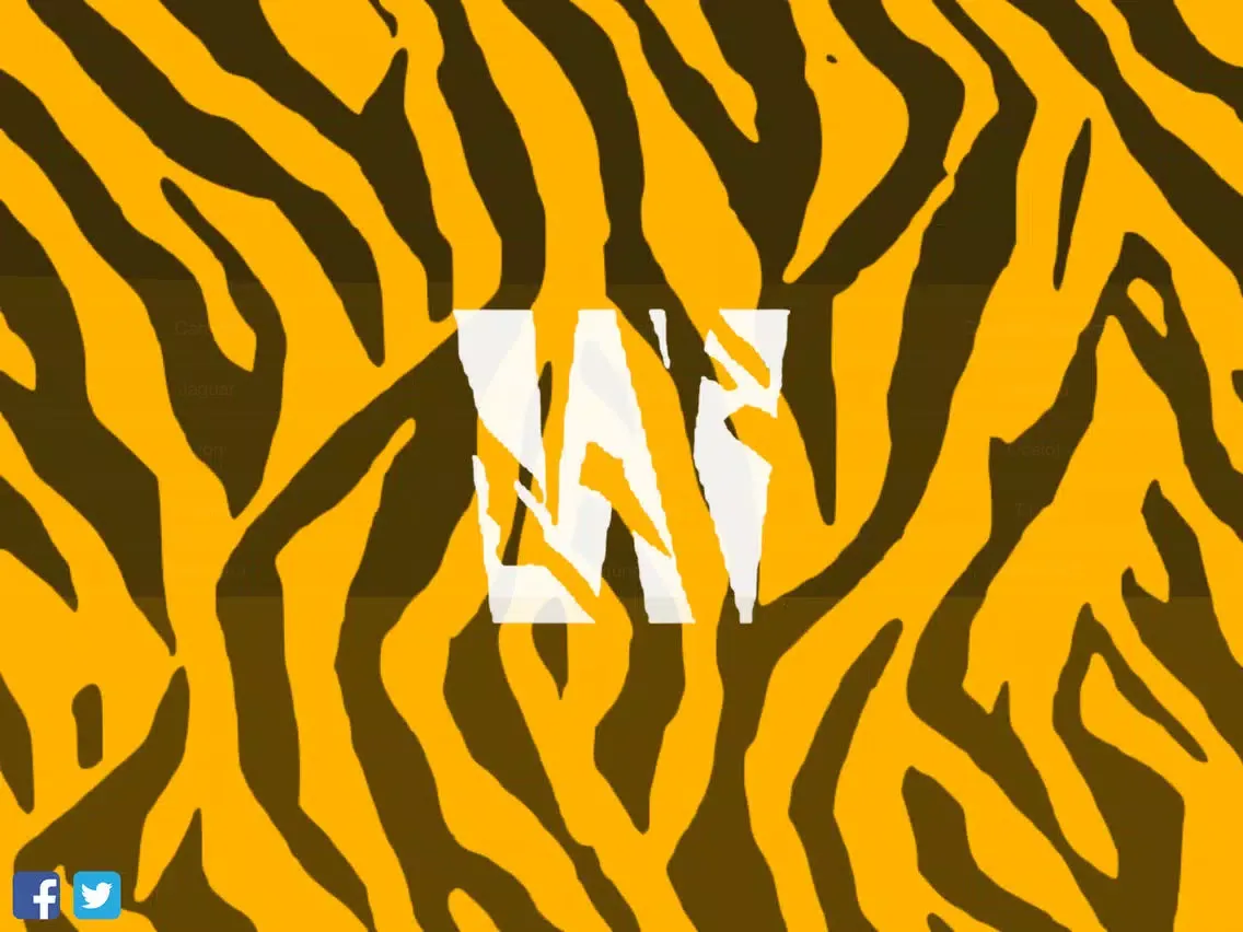 تصاویر Wild Cats Orchestra iPad 