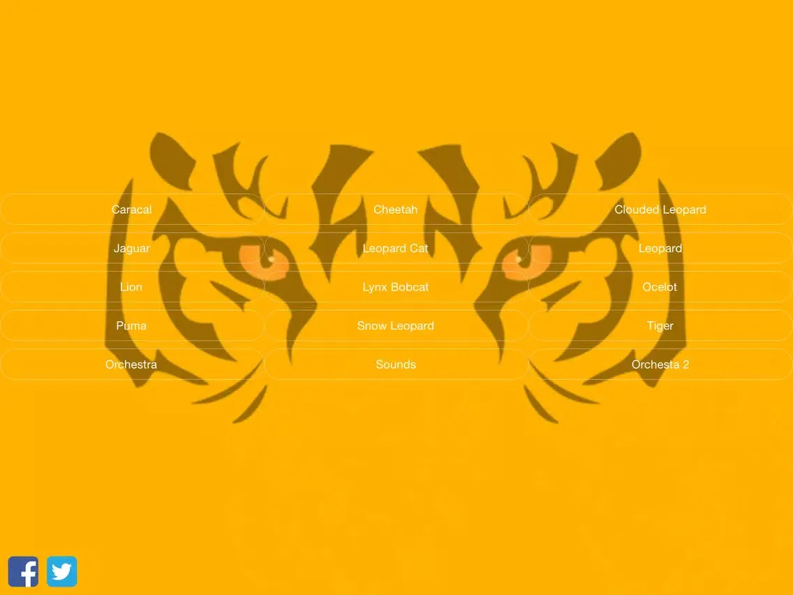 تصاویر Wild Cats Orchestra iPad 